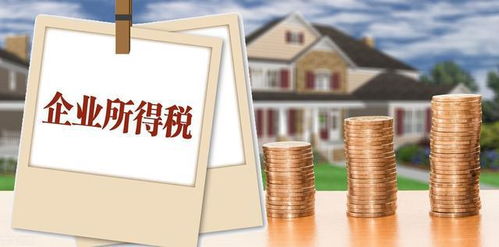 企業(yè)所得稅納稅人范疇、征稅規(guī)定及會計(jì)處理